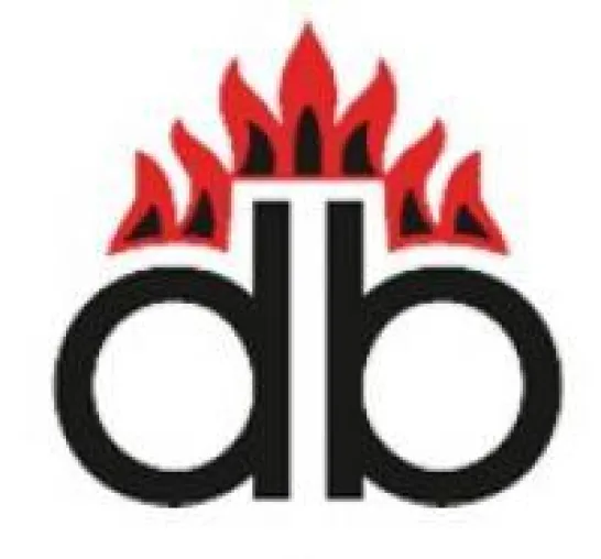 Bild: Veraltete Holzfeuerungsanlagen: Die Gesundheit geht vor
