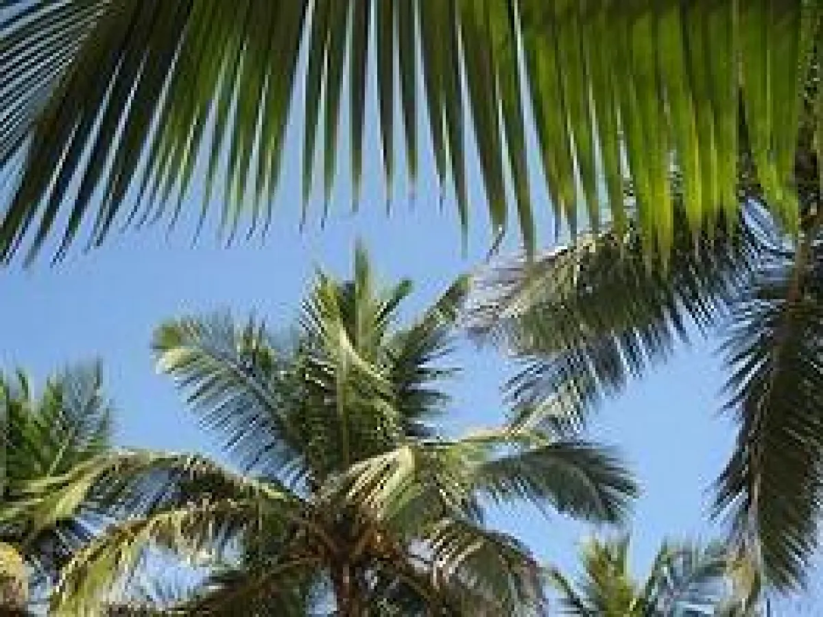 Urlaubsfreuden sorgenfrei genießen