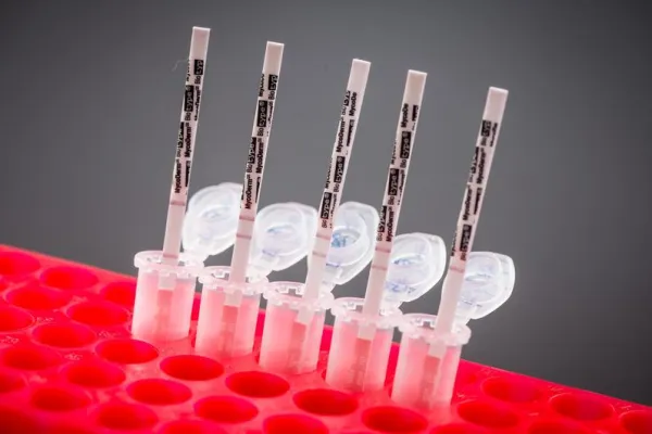 Bild: Biotype Diagnostic GmbH kooperiert mit R-Biopharm AG