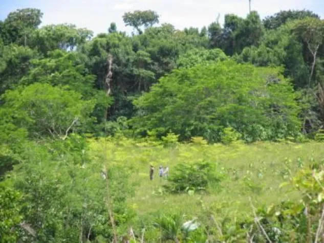 Bild: Eventagentur marbet engagiert sich für den Klimaschutz