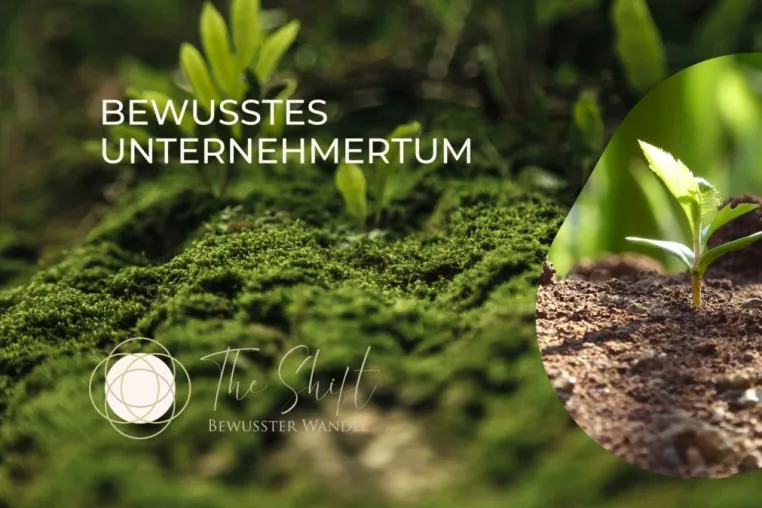 Bild: Bewusstes Unternehmertum