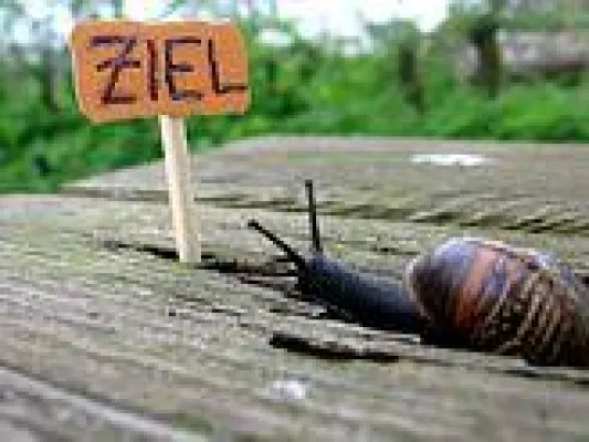 Bild: Unternehmensziel erreicht