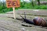Bild: Unternehmensziel erreicht