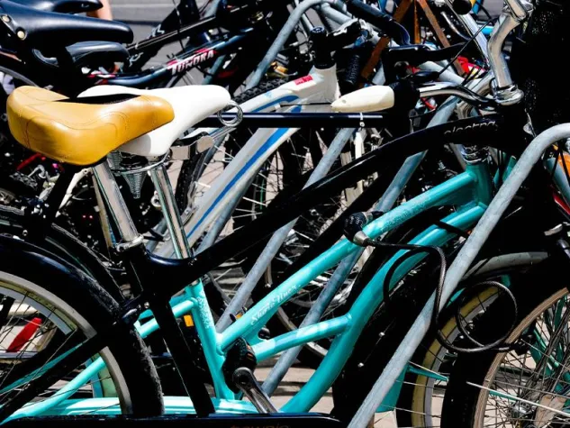 Die Deutschen werden zur Fahrradnation Bild: Die Deutschen werden zur Fahrradnation