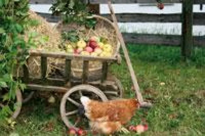 Bild: Die Karwoche und Ostern bewusst erleben