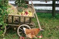 Die Karwoche und Ostern bewusst erleben Bild: Die Karwoche und Ostern bewusst erleben