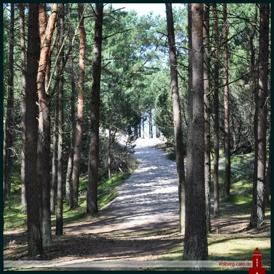 Laufstrecke am Strand entlang: Ein Traum für Lauffreunde
