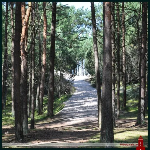 Laufstrecken in Kolobrzeg (Kolberg) Bild: Laufstrecken in Kolobrzeg (Kolberg)