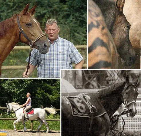 Bild: 29 neue Dual-Trainer*