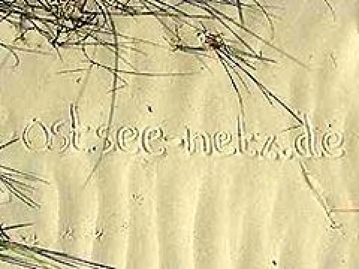 Am 1.Mai 2007 geht mit ostse-netz.de ein touristischer Reiseführer für die Ostsee-Region online.