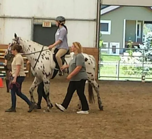 Bild: Pferde-Verhaltenstherapeut - Menschen-Therapeut