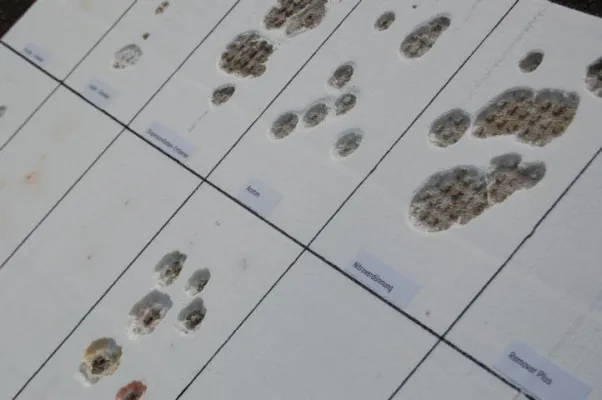 Bild: SCHÄDEN DURCH GRAFFITI VORBEUGEN - Wiesbadener „Graffiti Guard“ gibt Fallstudie heraus.