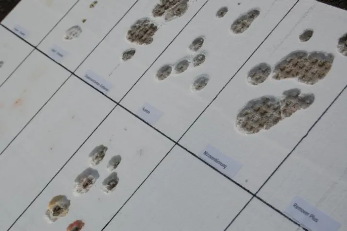 Bild: SCHÄDEN DURCH GRAFFITI VORBEUGEN - Wiesbadener „Graffiti Guard“ gibt Fallstudie heraus.