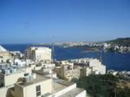 Bild: vivardo Sprachreisen wächst