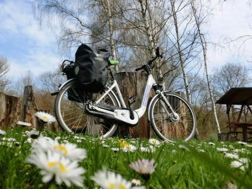 Impressionen am Ilmtal-Radweg (c) AugustusTours