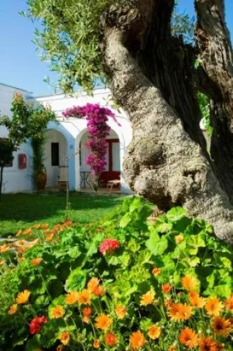 Frühlingsfit durch Salbei, Eukalyptus & Zitrusfrüchte im Torre Coccaro & Torre Maizza in Apulien Bild: Frühlingsfit durch Salbei, Eukalyptus & Zitrusfrüchte im Torre Coccaro & Torre Maizza in Apulien