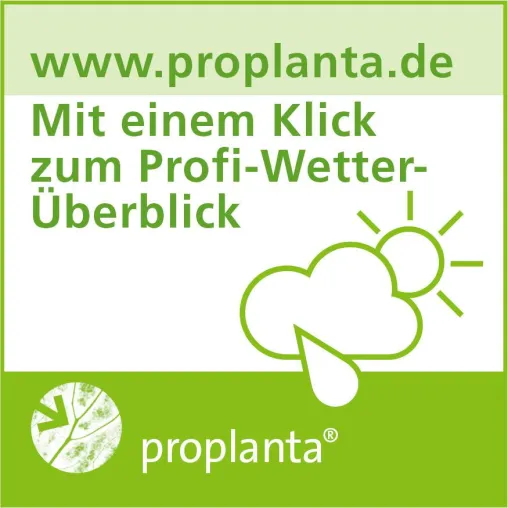 Profi-Wetter – präzise Wetterprognosen per Mausklick Bild: Profi-Wetter – präzise Wetterprognosen per Mausklick