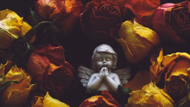 Freie Bestattung und Trauerfeier: Ein individueller Weg des Abschieds Bild: Freie Bestattung und Trauerfeier: Ein individueller Weg des Abschieds