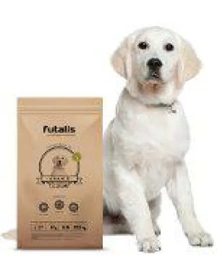 Bild: futalis überreicht ersten Spendenscheck an den Verein Apporte