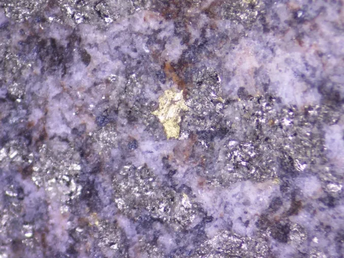 Bild: GoldShore Resource: Jetzt ist die beste Zeit, um in unseren Bereich zu investieren!