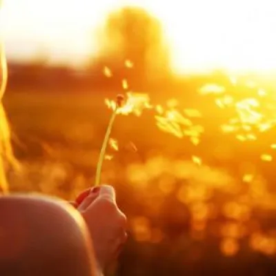 Bild: Solar-Technologie von J.v.G. Thoma trifft auf marokkanisches Klima: eine perfekte Verbindung