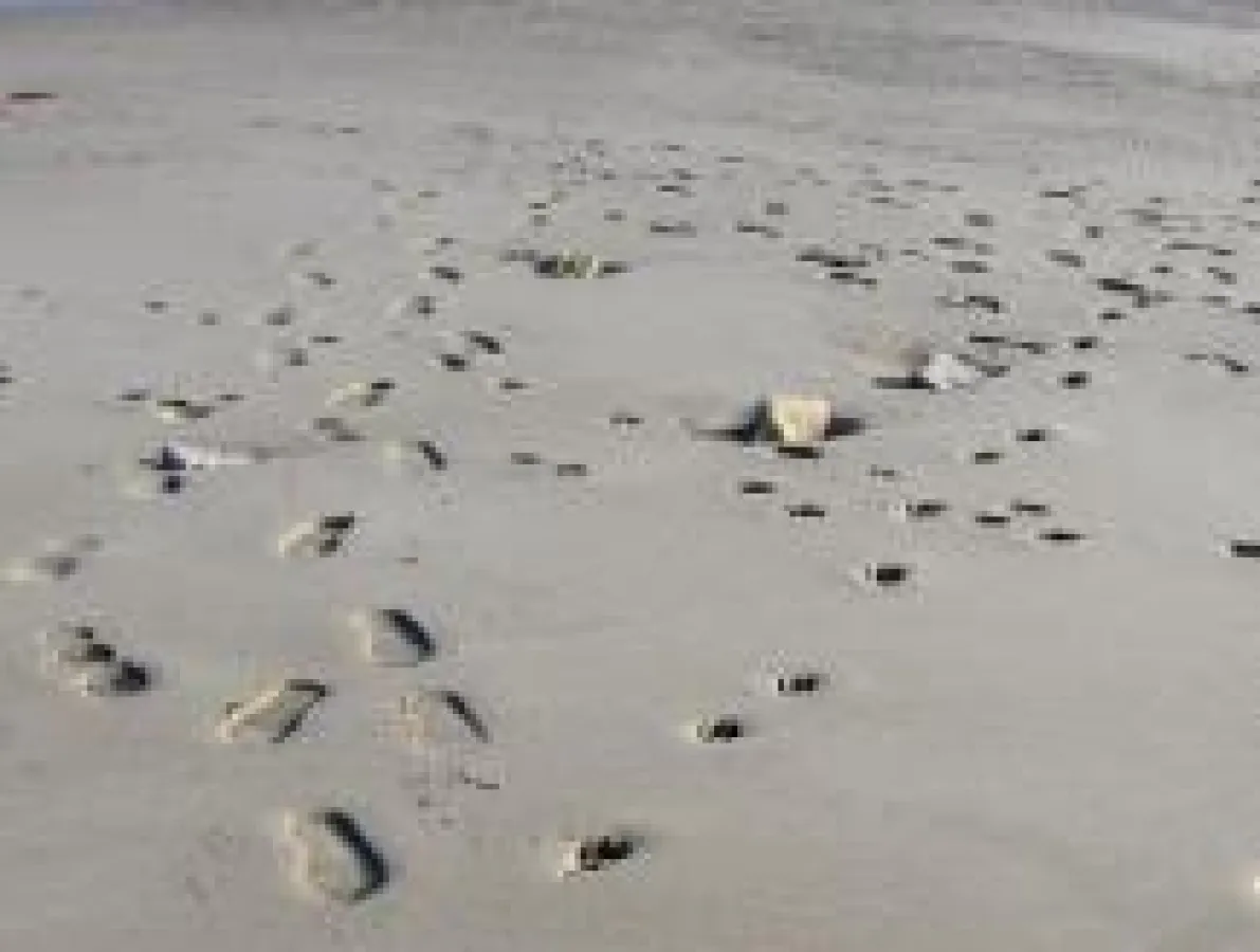 360 Grad Feedback und Mitarbeiterbefragung