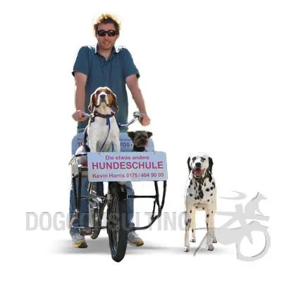 Bild: Dogconsulting.de eröffnet zur Weihnachtszeit Deutschlands erste Hundeklappe