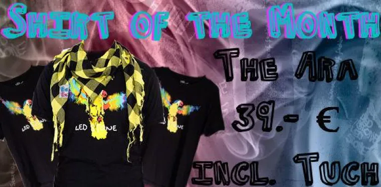 Bild: „Shirt of the month“