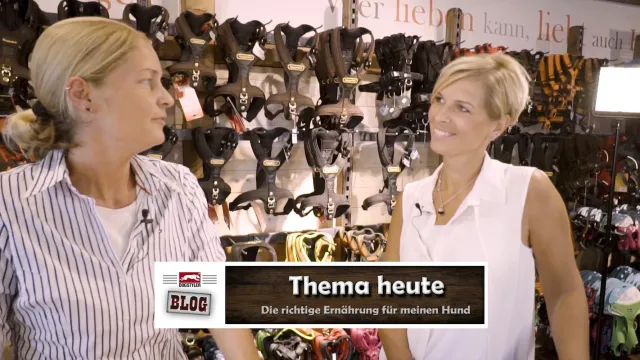 Bild: Wichtige Erkenntnisse zum Hundefutter - DOGSTYLER(R) und Dr. Clauder´s informieren