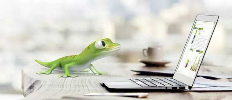 Bild: CSS AG stellt jährliches Major Release von eGECKO vor