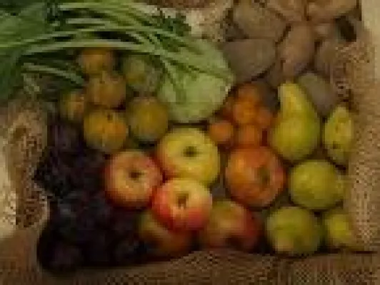 Bild: NaturKunstMarkt in den Späth´schen Baumschulen, Berlin-Treptow ab 30.09. jeden Samstag