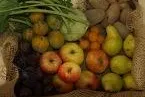 Bild: NaturKunstMarkt in den Späth´schen Baumschulen, Berlin-Treptow ab 30.09. jeden Samstag