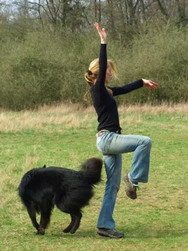 Dog Dance im Hundehotel Mair am Ort in Dorf Tirol Bild: Dog Dance im Hundehotel Mair am Ort in Dorf Tirol