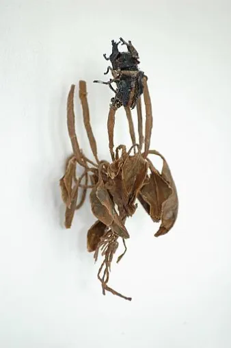 Bild: MAIKE SANDER "drinnen und draußen" in der Holger Priess Galerie