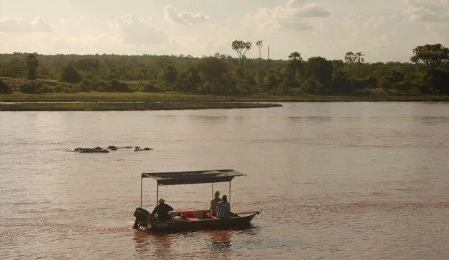 Bild: Tansania: Mit dem Boot auf dem Ruaha-Fluss