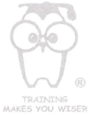 Bild: Bedeutung und Möglichkeiten eines Drei-Sprung Coachings