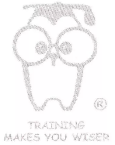 Bedeutung und Möglichkeiten eines Drei-Sprung Coachings Bild: Bedeutung und Möglichkeiten eines Drei-Sprung Coachings