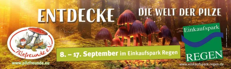Bild: Ausstellung - Entdecke die Welt der Pilze