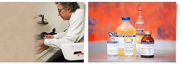 Bild: Biologische Krebstherapie - Insulin Potenzierte Therapie (IPT)