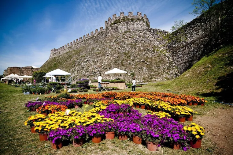 Bild: Frühling in der Provinz Brescia: Farbenrausch und Rosenduft