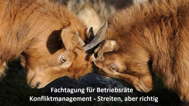 Bild: Zoff zwischen Betriebsrat und Arbeitgeber?