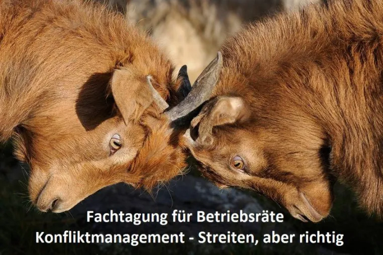 Bild: Zoff zwischen Betriebsrat und Arbeitgeber?