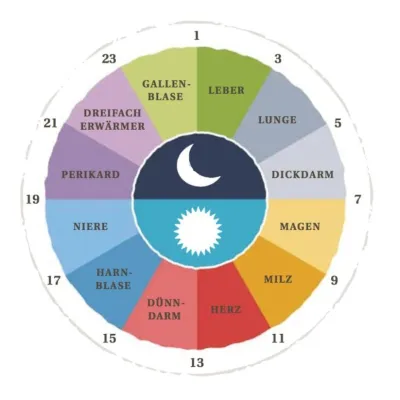 Bild: SO GELINGT INTERVALLFASTEN - SCHAUEN SIE AUF IHRE ORGANUHR!