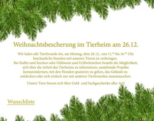 Bild: Weihnachten im Tierheim Verlorenwasser