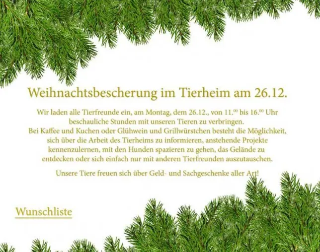Weihnachten im Tierheim Verlorenwasser Bild: Weihnachten im Tierheim Verlorenwasser