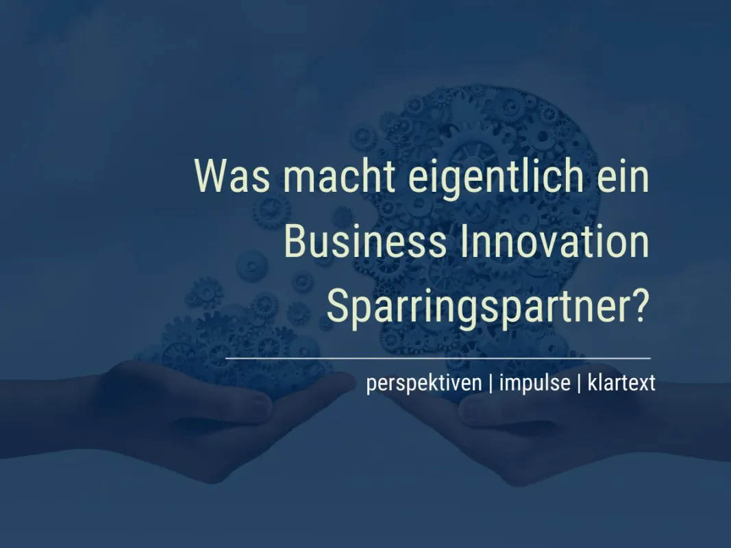 Marketing Innovation Sparring