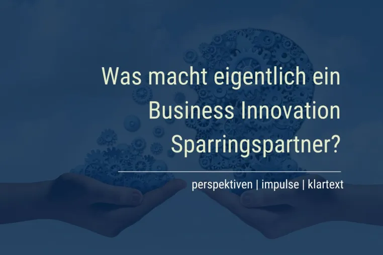 Bild: Business Innovation Sparring als Alternative zur klassischen Unternehmensberatung
