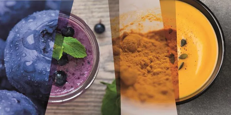 Bild: Innovative Ansätze zur Geschmacksmodulation und zur Maskierung von Protein