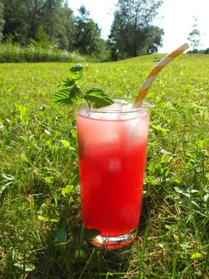 Ideal für Sport und Wellness: Protein-Drink aus Lupinen Bild: Ideal für Sport und Wellness: Protein-Drink aus Lupinen