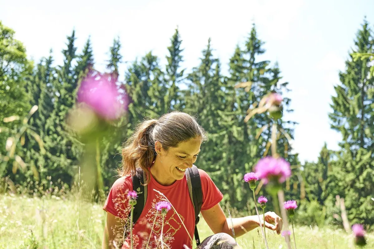Runterkommen und zu sich finden im Bayerischen Wald – zahlreiche Wanderwege starten direkt beim Hote